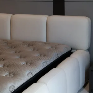 CUST Bedframe - Project @Alma, Bukit Mertajam | Customize Bedframe | Sufól